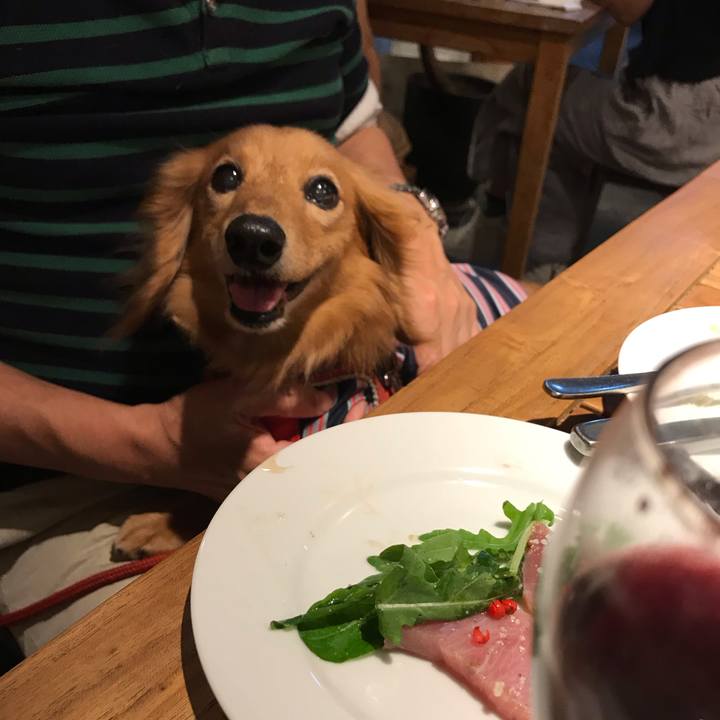 53153474 f38d 43c8 bd5b c4a98b6cd532 1568457119757