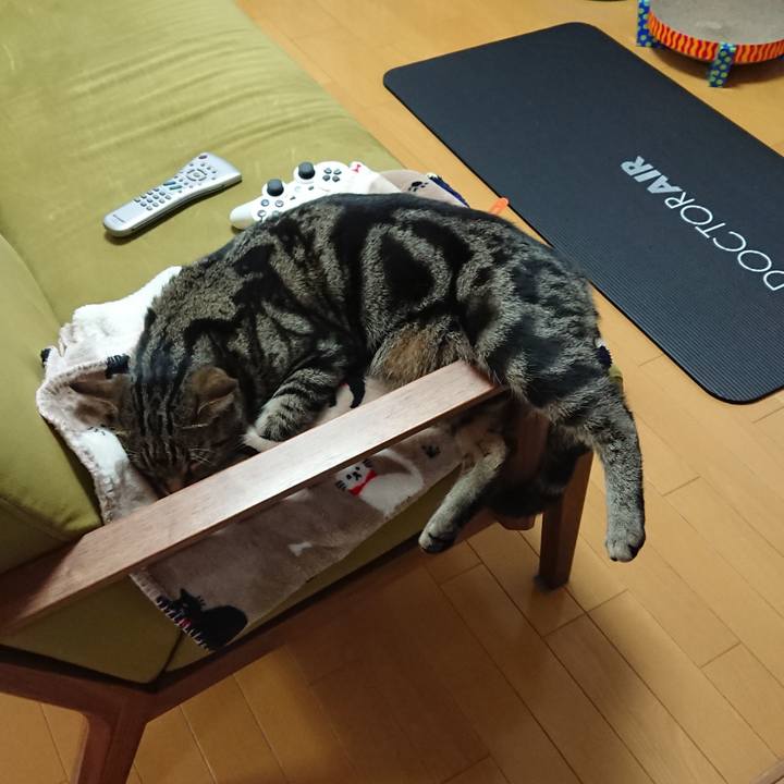 53153bb6 94d6 45fb 9a11 a4110aaa72ea 1529051337029