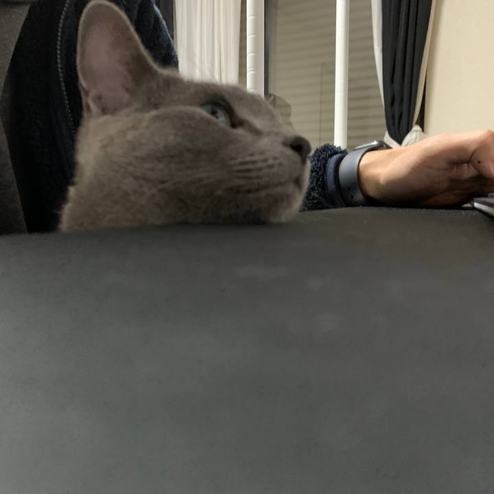 53153c50 d629 4306 ac3a 6af493513929 1609156208706