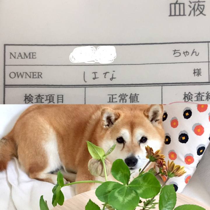 531549ae 79ae 420b 9bbf f03c4cefadfe 1589114558599