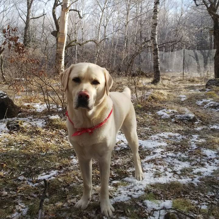 53154e24 51ef 4065 89b5 06f6f8b4b151 1546741056937