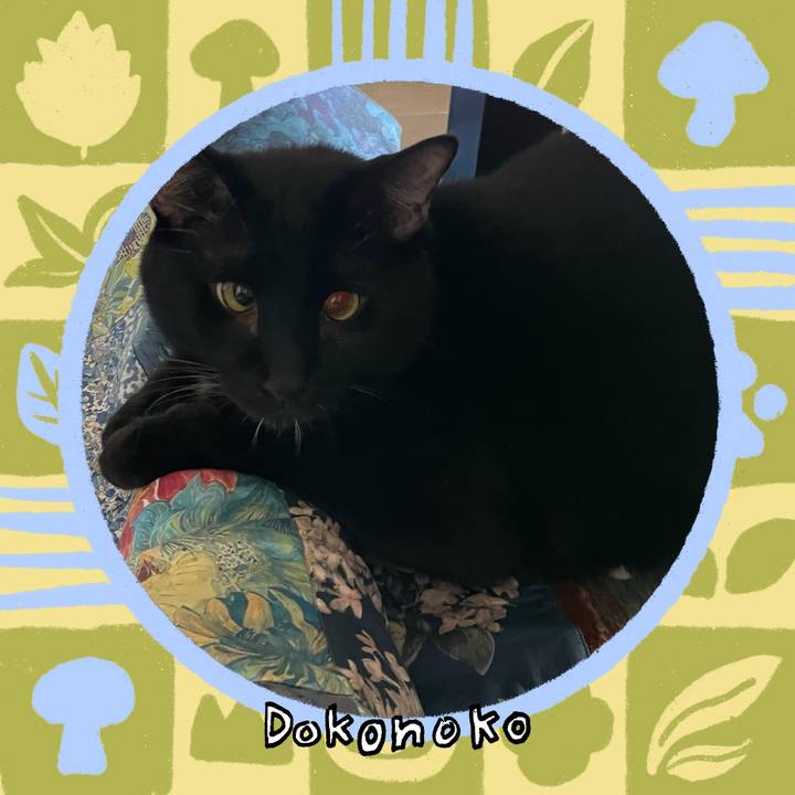 53155af3 80f3 485c 9c39 f1ec58562149 1761613460350