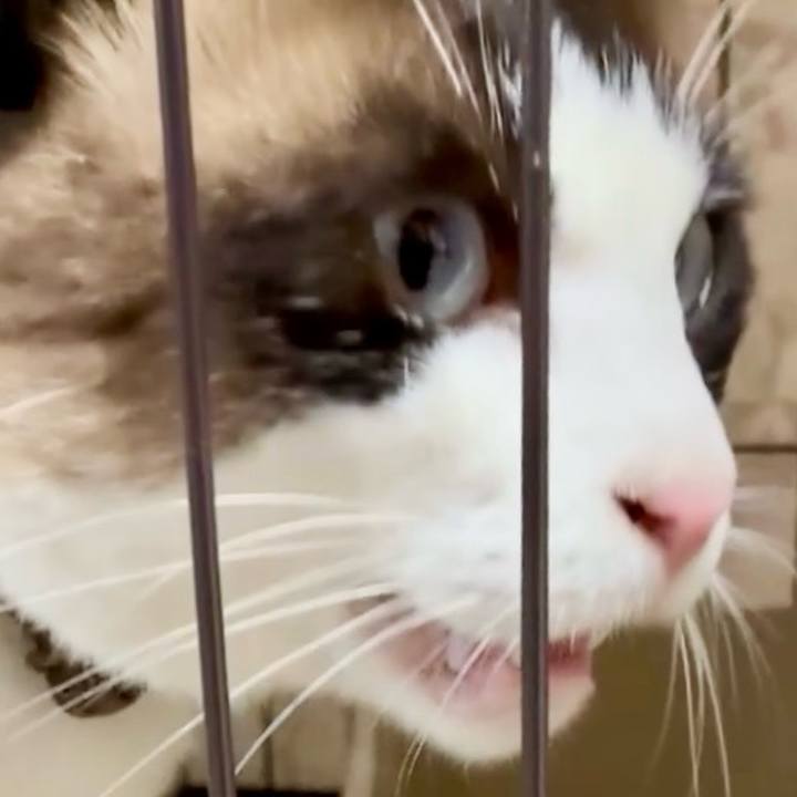 53156b22 6a1b 4d4b 921f 2d3a69033004 1751363884770