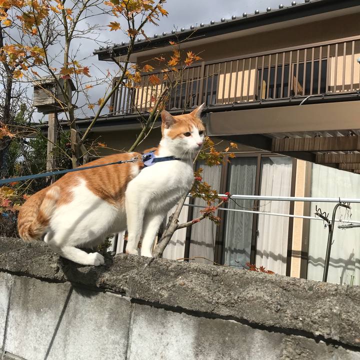 5315f701 ed4b 4b32 b0bf d58390c7b2fe 1510466038101