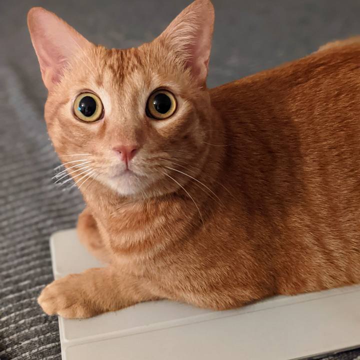 5316171c 2cee 45ec b03a 038bac7305ff 1633001896776