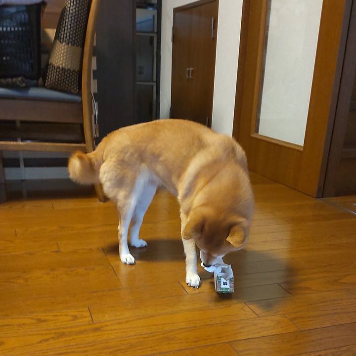 53161d10 9826 44dd af6f f6459da4054f 1697763347891