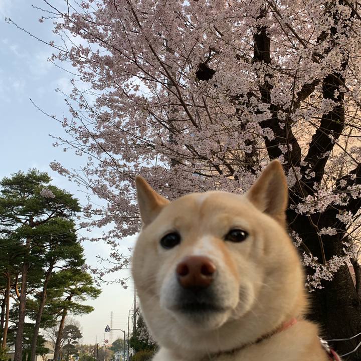 531626d3 cc3d 417c bde7 8203f5d6dddf 1648680269955