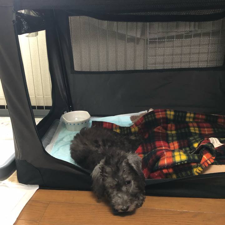 531659bb e4b1 4ad6 8cc7 d28ace11717b 1569041352017