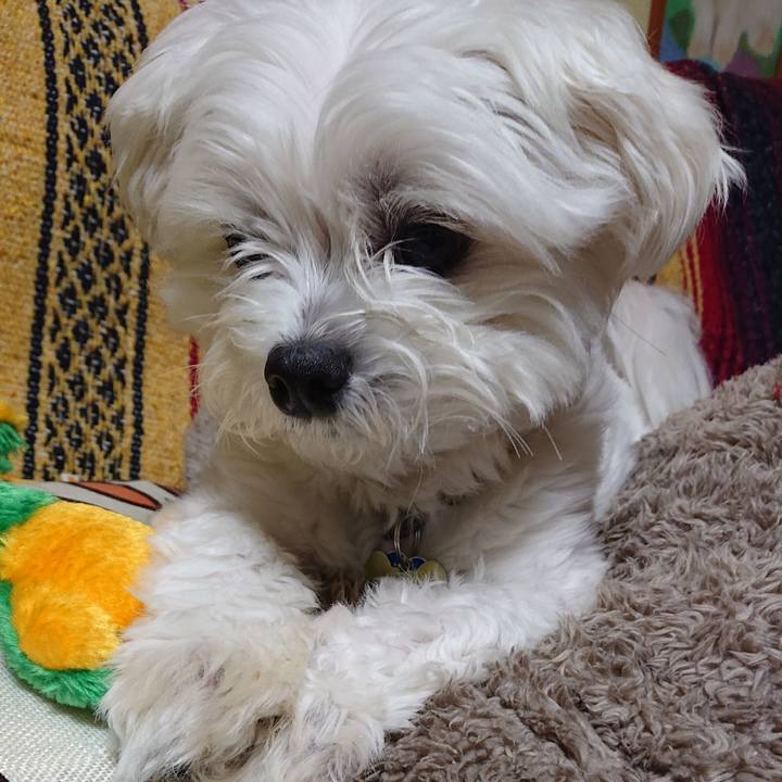 53165c69 4837 4fab 926e 2a80afba856f 1538134131549