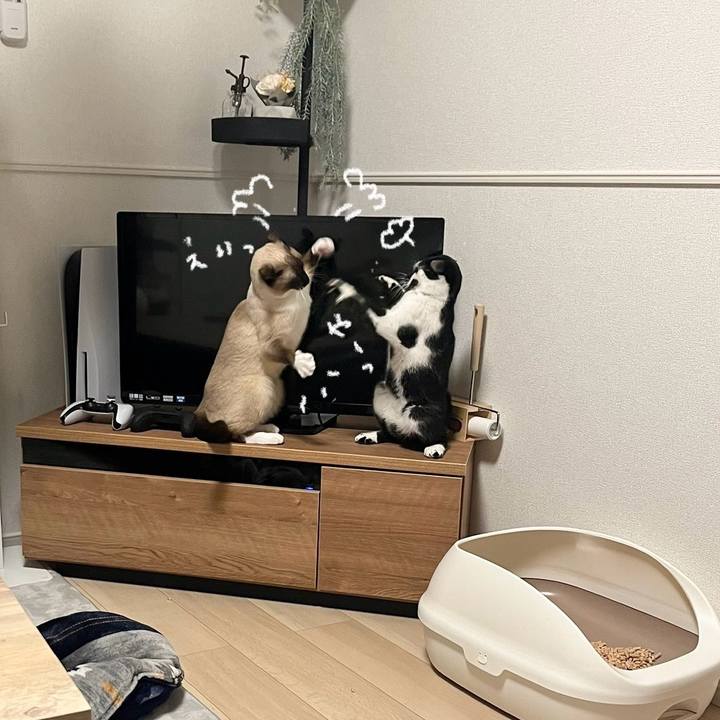 531673e2 543b 4057 bbc3 a6aa3cf2d4d4 1750045940877