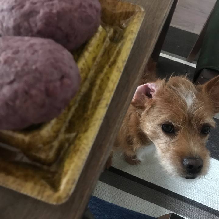 53167750 0c4f 4644 80fb ad1c27ba2017 1584414667035