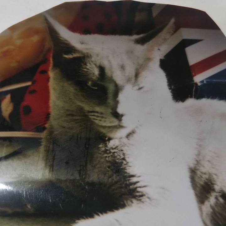 53167ad0 2bd9 4503 bc53 6179c5819d13 1620570889164