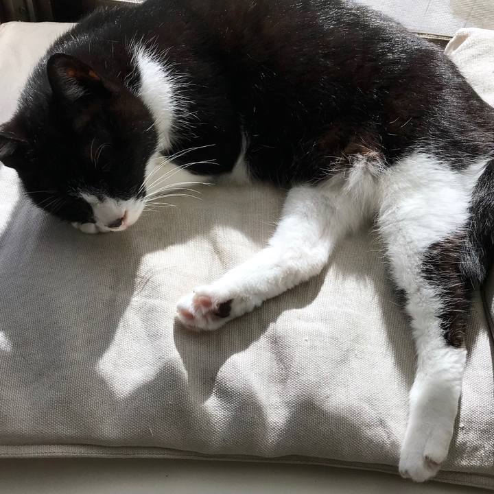 53169d89 9ed5 41cd 8876 9a8e4a59d6df 1516856465231