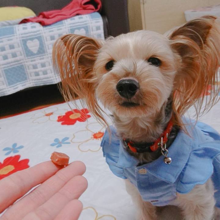 5316a1a9 9fdc 4382 91ca 4f35b7aaa316 1555923323493