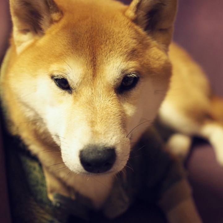 5316ab33 0f0b 4b9a 827b ef62aff16b67 1511689704990