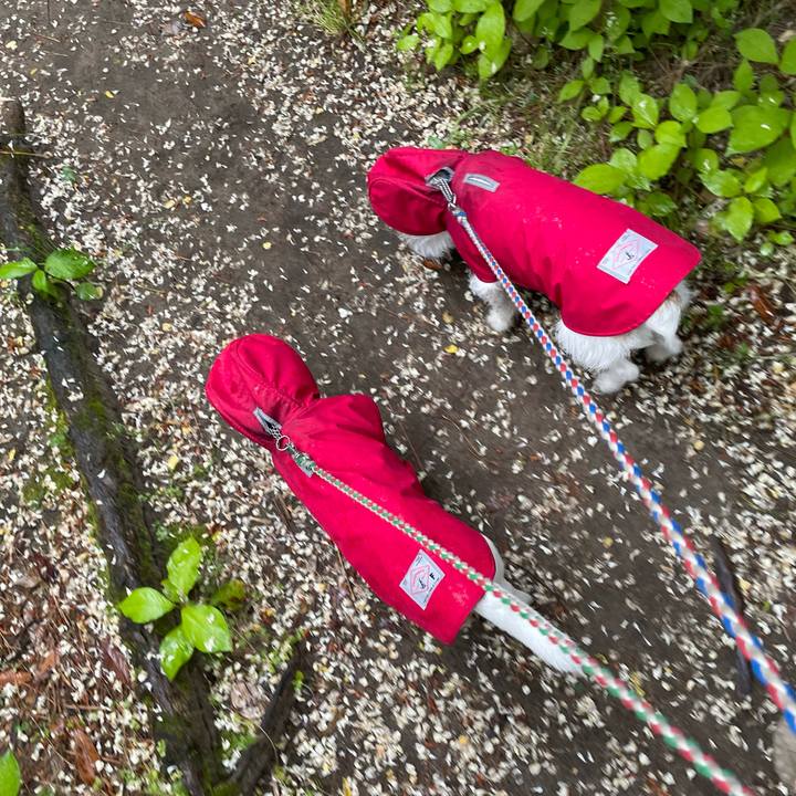 5316ad87 dc97 4fff 89e8 c39219e25b06 1684800066588