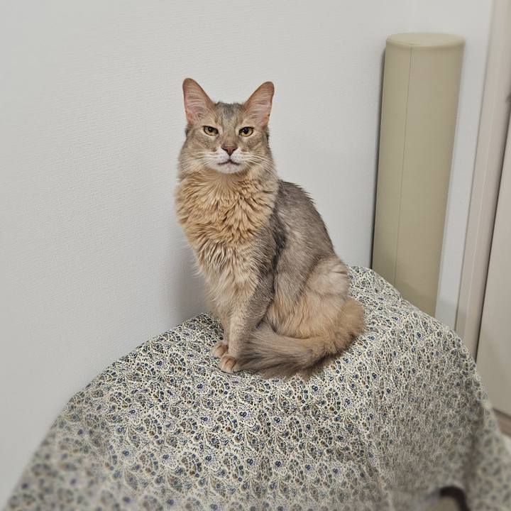 5316e438 41b1 4beb aee0 885ab4c42832 1774530078679