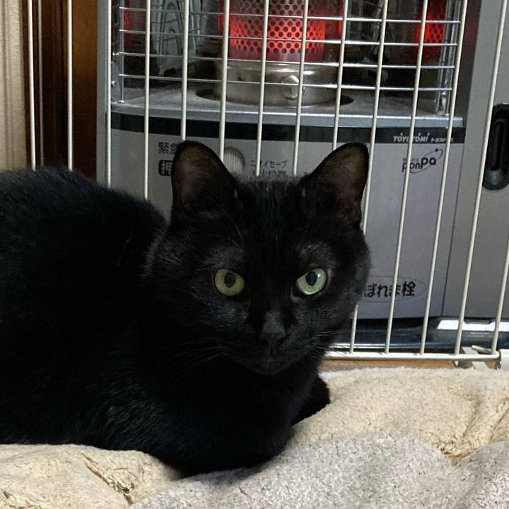 5316f81c c3d5 41b5 b2cb 2f64b70e14f6 1734239744579