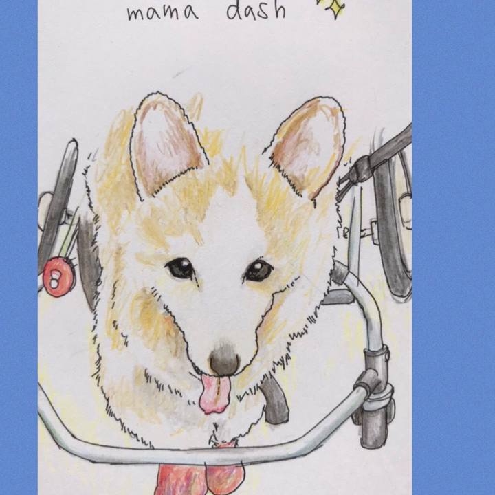 531707b6 f519 4427 97ba 280425f1e26c 1586186843191