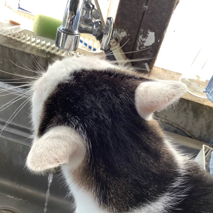 531714c6 6d45 48d4 a99f 6cbaa1254826 1574568106490