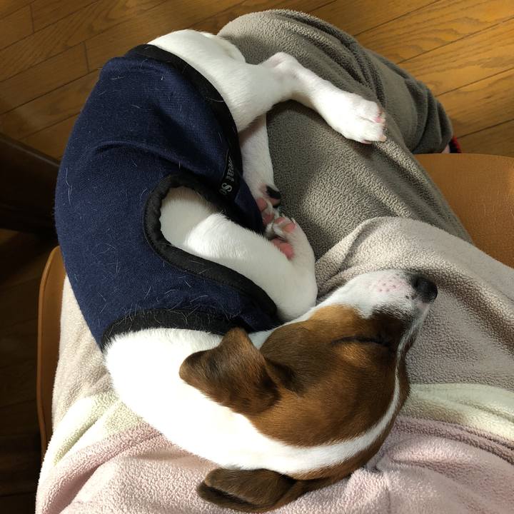 53173267 0c5e 4bf1 908c 8110744cd0f5 1513948764386