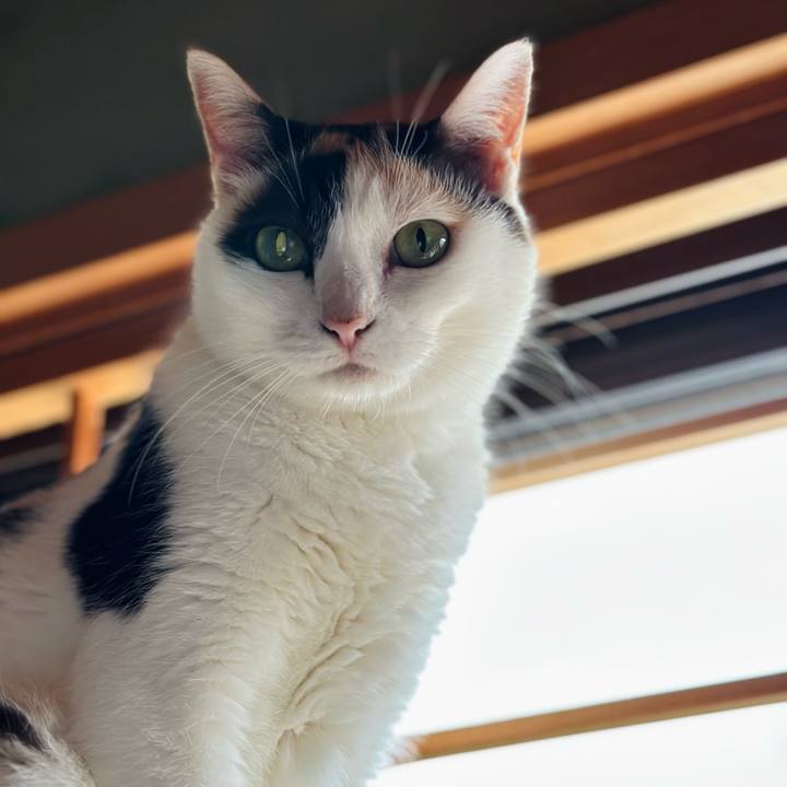 53176797 1306 4707 b30c 05392ca536ef 1690358522270