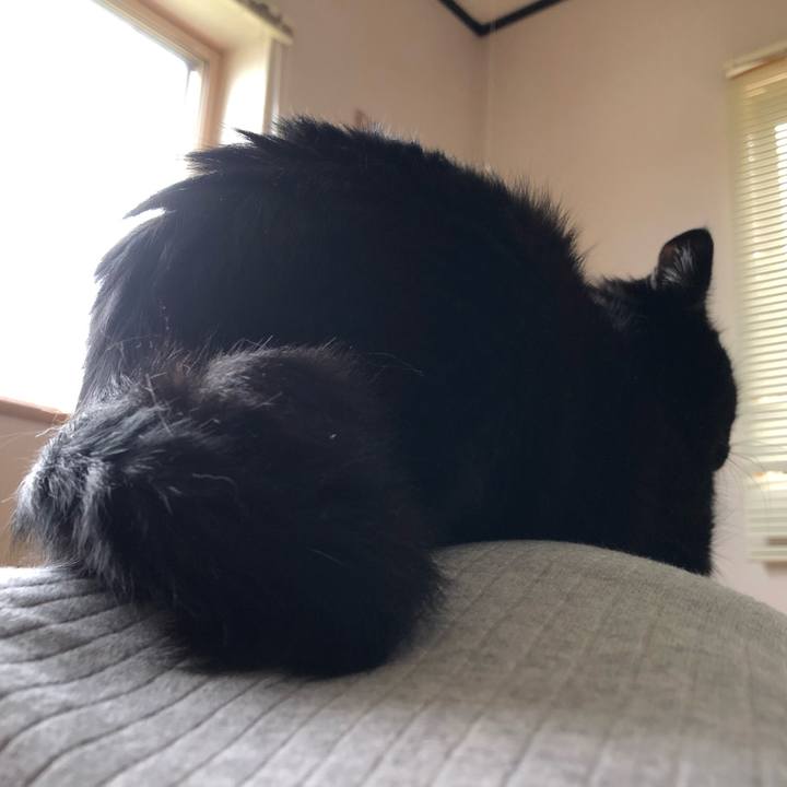 5317780c 75be 4fff 8f08 43d915ccd84d 1568152110212