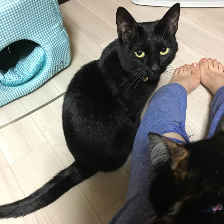 53177bff f505 45d7 8bc9 2ff26e4a9dd5 1513075180035