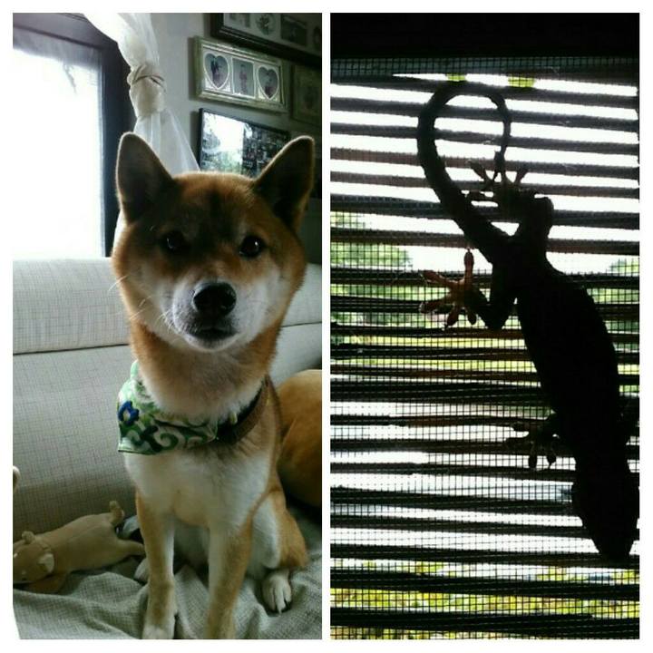 5317a126 e616 461c 9ce7 76ac4e71bbee 1561167011351