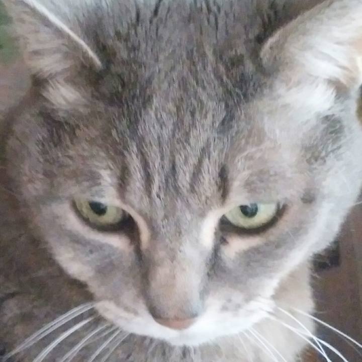 5317ad3d 0c84 4327 89c0 83ea91c0fad0 1522445556735