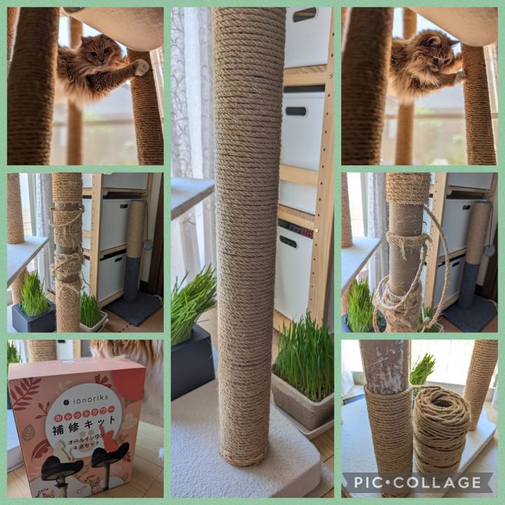 5317ef9a 21d8 4460 871d a70cca78d1ef 1721446366956