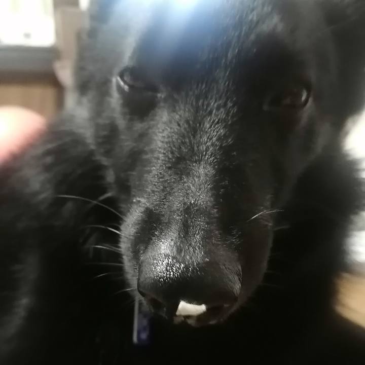 531807d1 3cc7 47b5 a9e2 0134bcbfd6ea 1630532631294