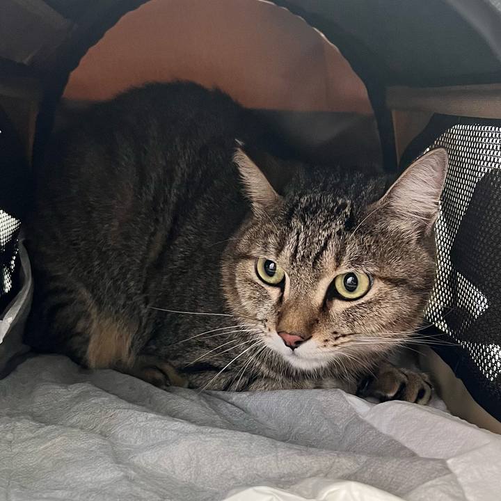 531824d9 31a6 4604 bcfd 124c00e36c67 1761962293187