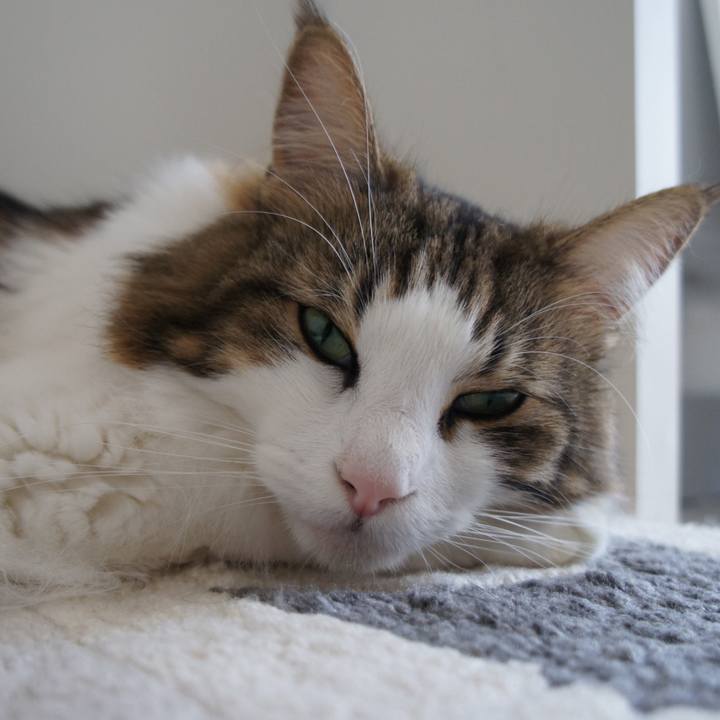 53182b9e 35eb 4467 99e3 bb175afcc243 1537311947005