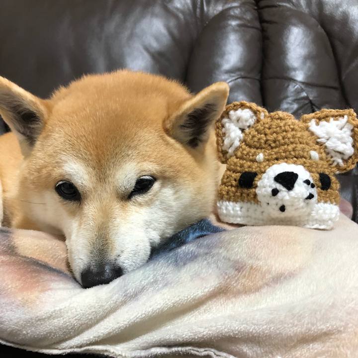 53187cc5 479e 4321 9b8e 7dd0dcabf8ab 1552605071795