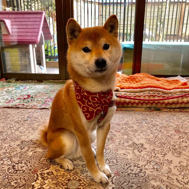 5318f5cc 9a2c 4de1 ac79 2f7389e10853 1519130743337