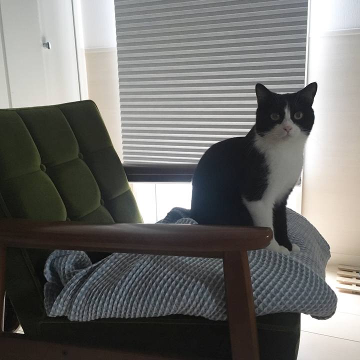 5319f0b3 bccc 474d bb29 d1b60ad1249c 1563508398253