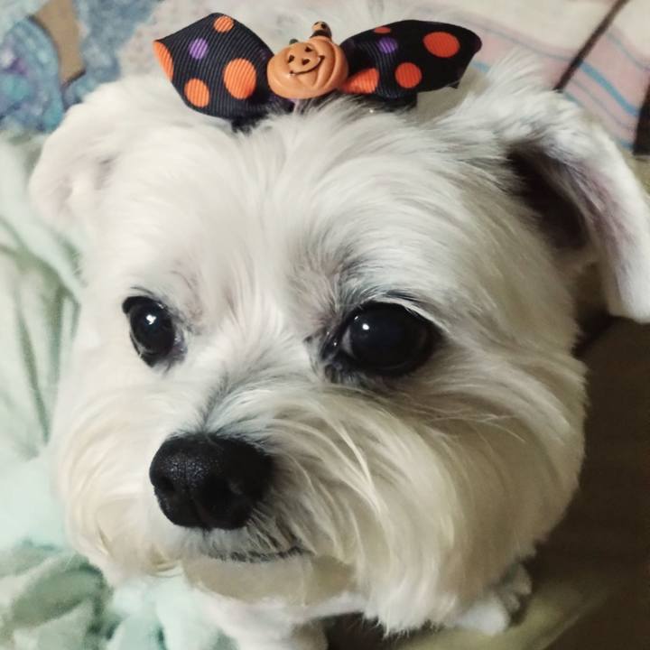 531a0529 27ad 45ab 86b6 5d17cb98fc44 1694001462845