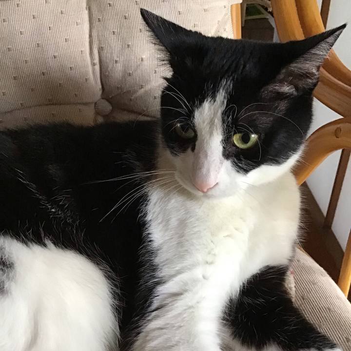 531a4dee f484 4b7b 922a ddef4b95490e 1688735198854