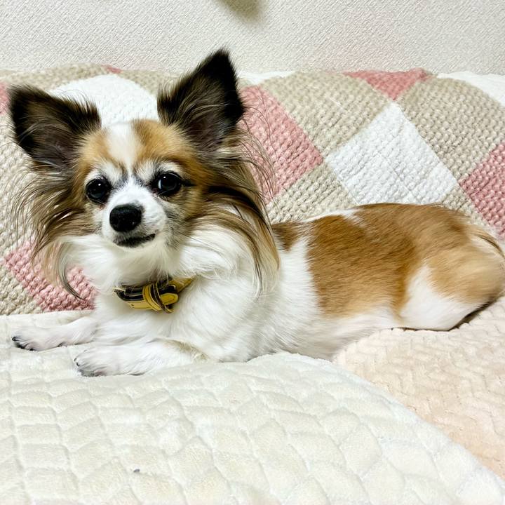 531a8f25 5160 41de b01c c9beffae2b3b 1763482179909