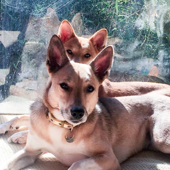 531a9f17 d95b 493a 87a2 d56233f7e546 1510594291160