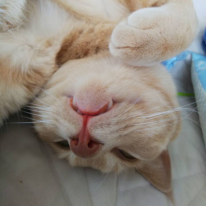 531aca01 07e7 42bd 8347 bcd86ad38b18 1598135168842