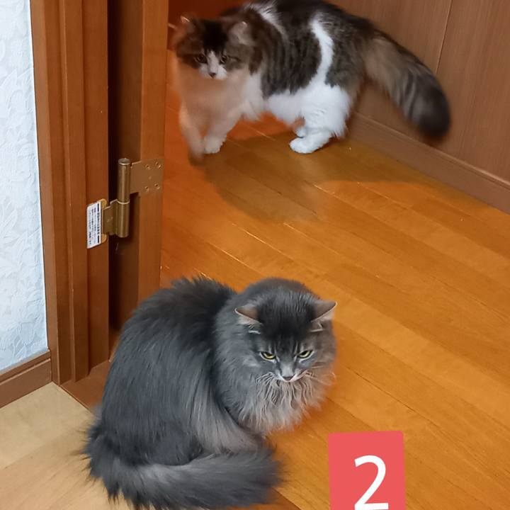 531ace5d b64c 47f2 99e3 02de04c0eac1 1616156175971