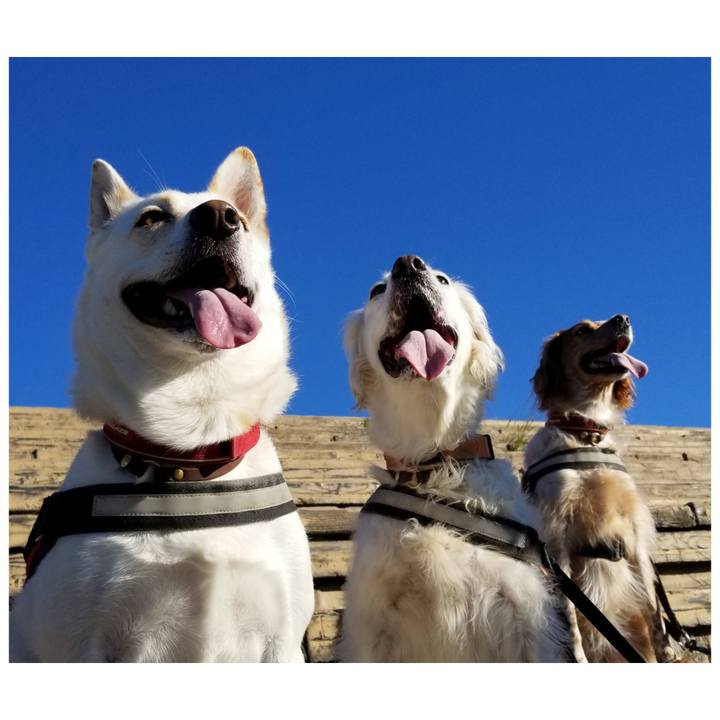 531ad69a 4f03 41b7 83b0 7f8b56665908 1697941246964