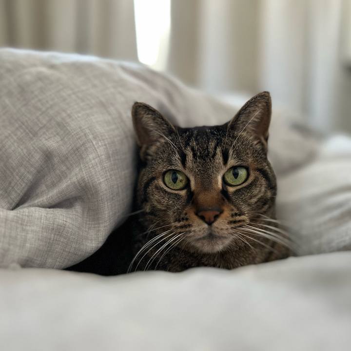 531ad7f8 1654 4f4e afd6 75a4be83530a 1740882368191