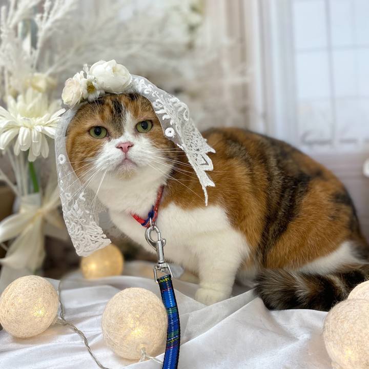 531b0cfe 308d 4a0f 9a60 3f733c17c9c9 1750425193643