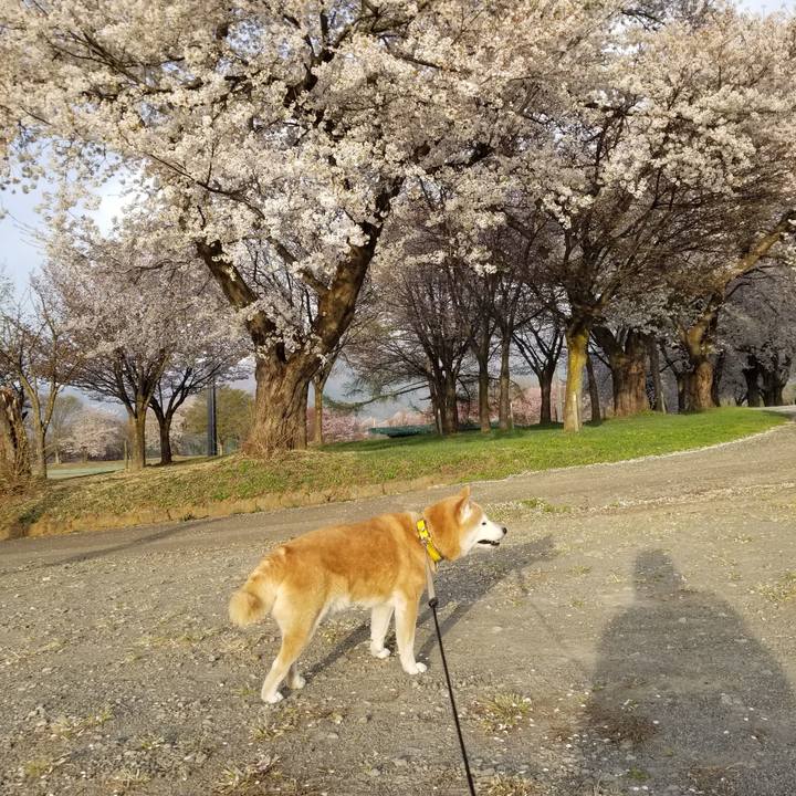 531b1970 6c62 4644 af1c d08bdc838cf6 1681201231635