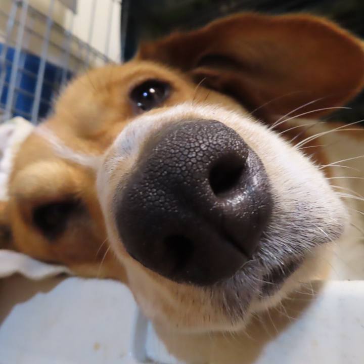 531b255c 9619 4552 84d7 ab83b95da659 1648866019080