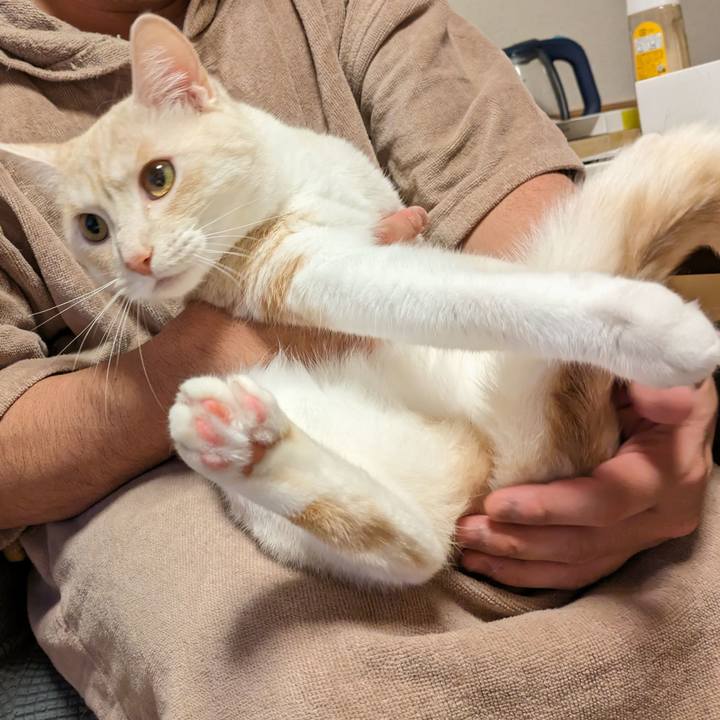 531b4884 13da 4ce2 a58b 11bf1cf79a56 1686492368497