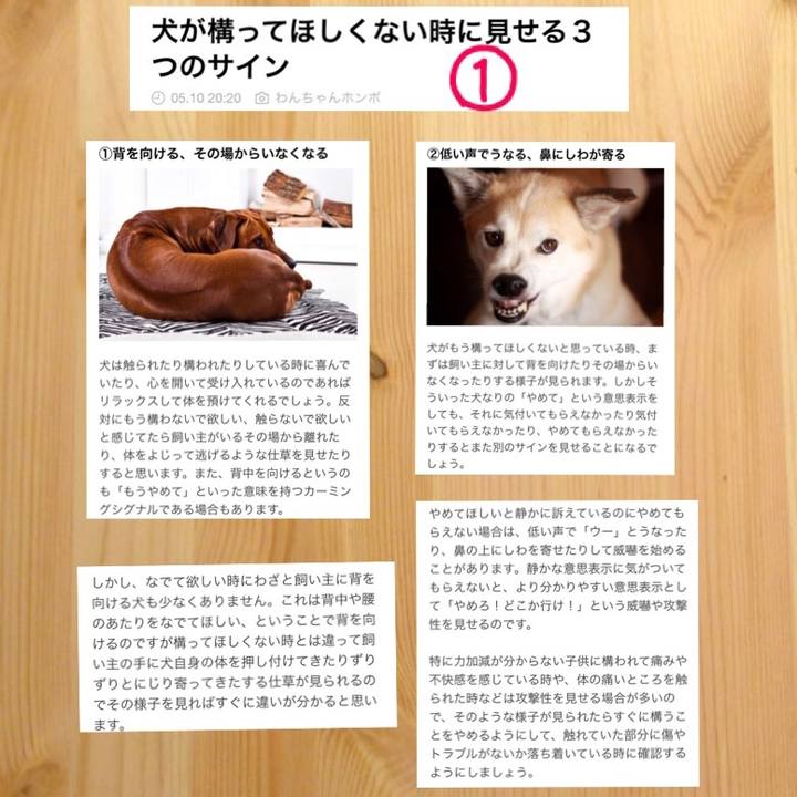 531b7d2b 4cdc 4e60 bfea 92733c561ce4 1525962916823